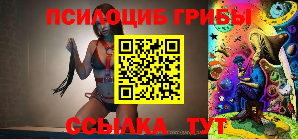 Галлюциногенные грибы GOLDEN TEACHER  Вход с VPN  Советск 